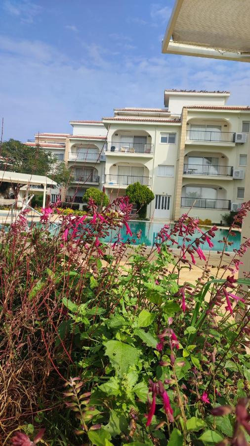 Fantastic 4 Cyprus First Line Beachfront Boghaz Экстерьер фото