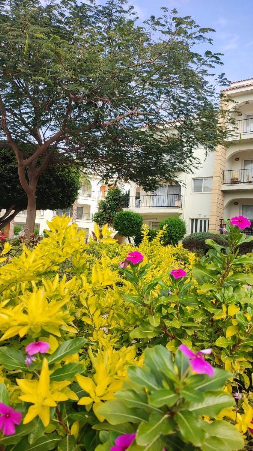 Fantastic 4 Cyprus First Line Beachfront Boghaz Экстерьер фото